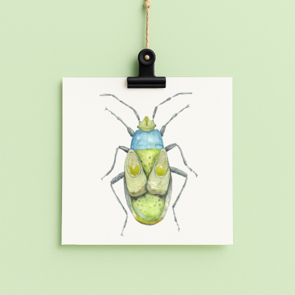 bug#0192 - card
