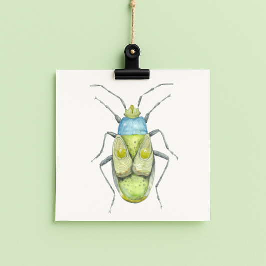 bug#0192 - card