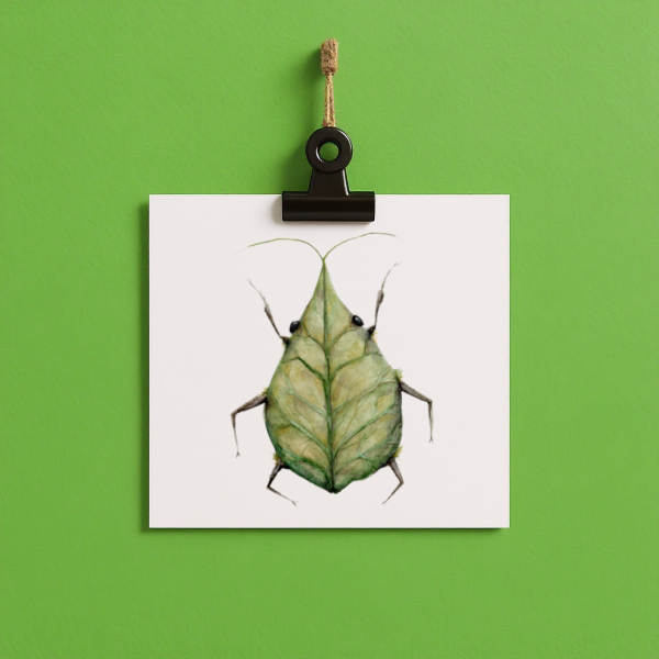 bug#0198 - card