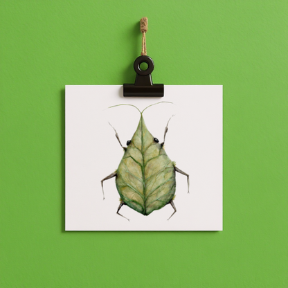 bug#0198 - card