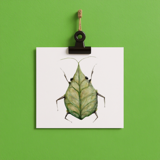 bug#0198 - card