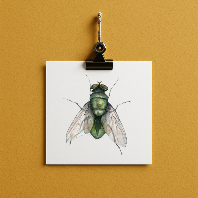 fly#0006 - card