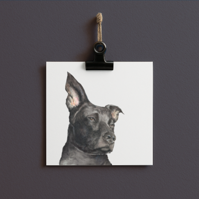 Hund - Karte