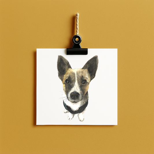 Hund Freddy - Karte