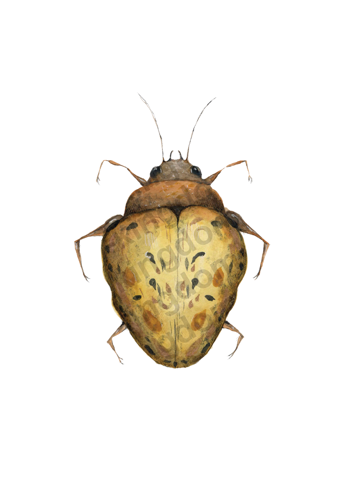 bug#0002 - card