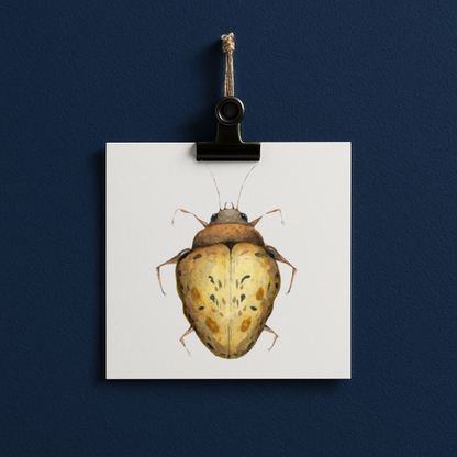 bug#0002 - card