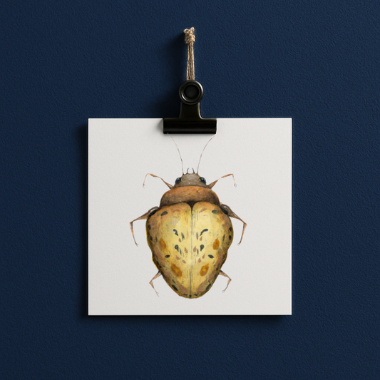 bug#0002 - card