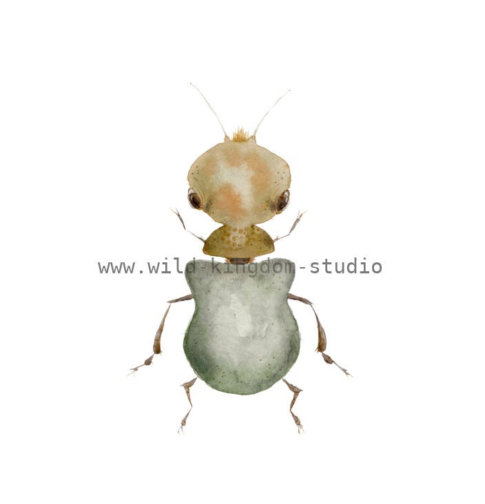 bug#0003 - card