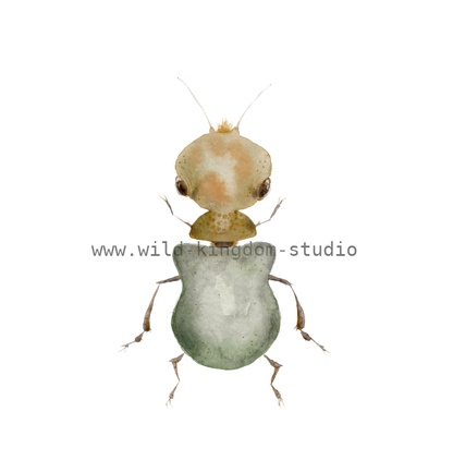 bug#0003 - card