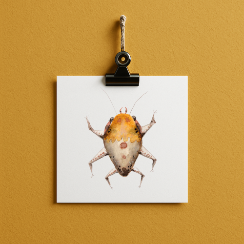 bug#0005 - card