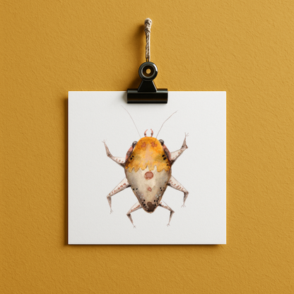 bug#0005 - card