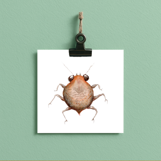 bug#0006 - card
