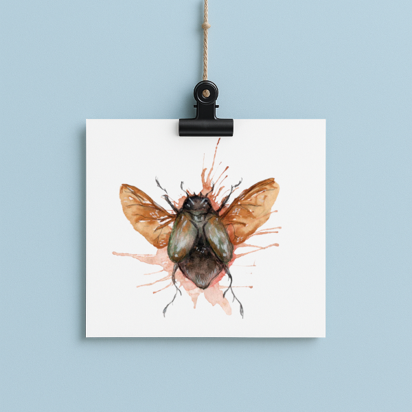 Splatter Splash Bug