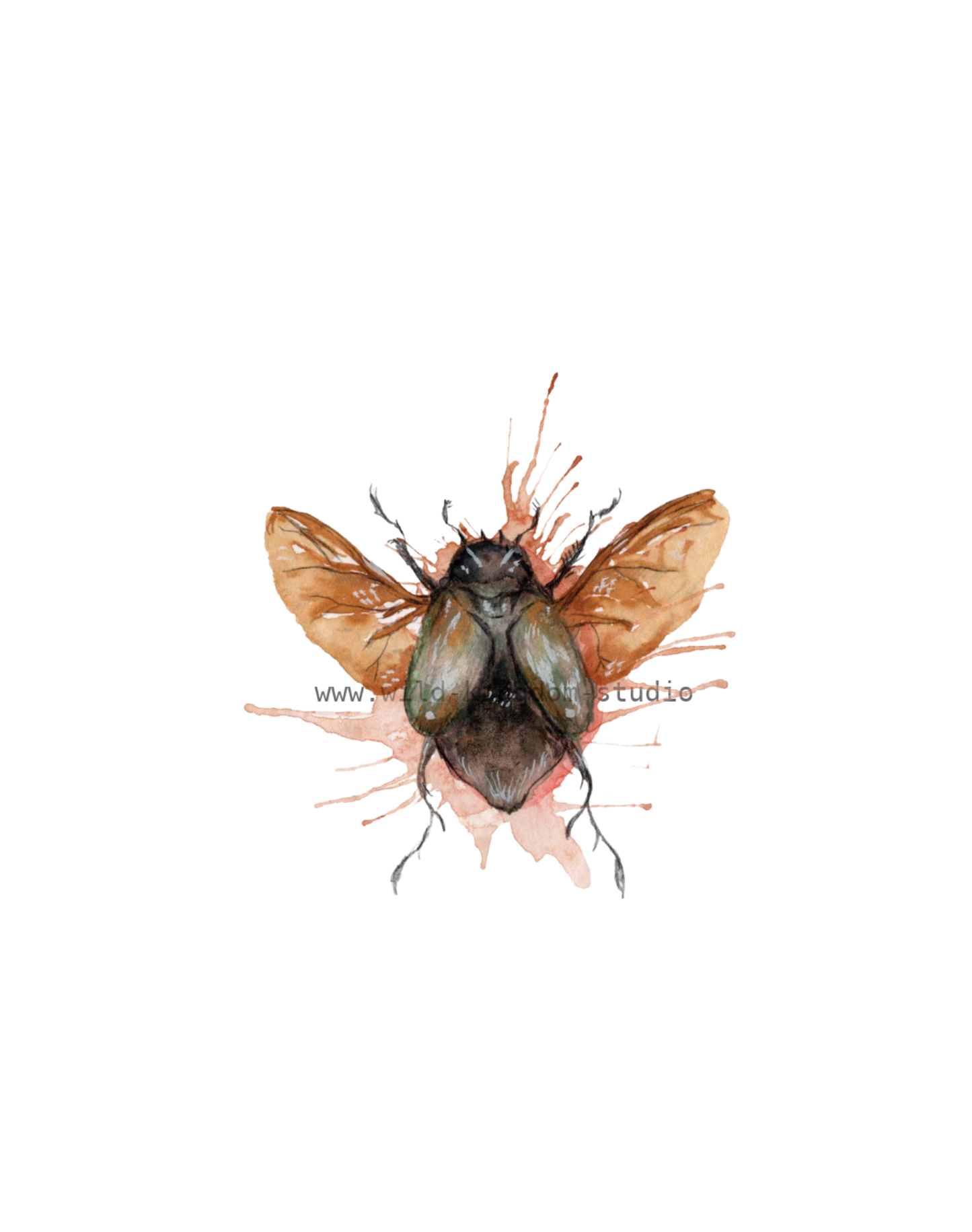 Splatter Splash Bug