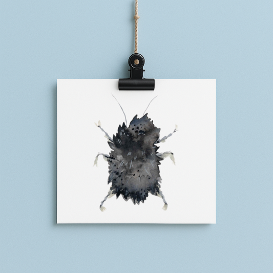 Dusty bug