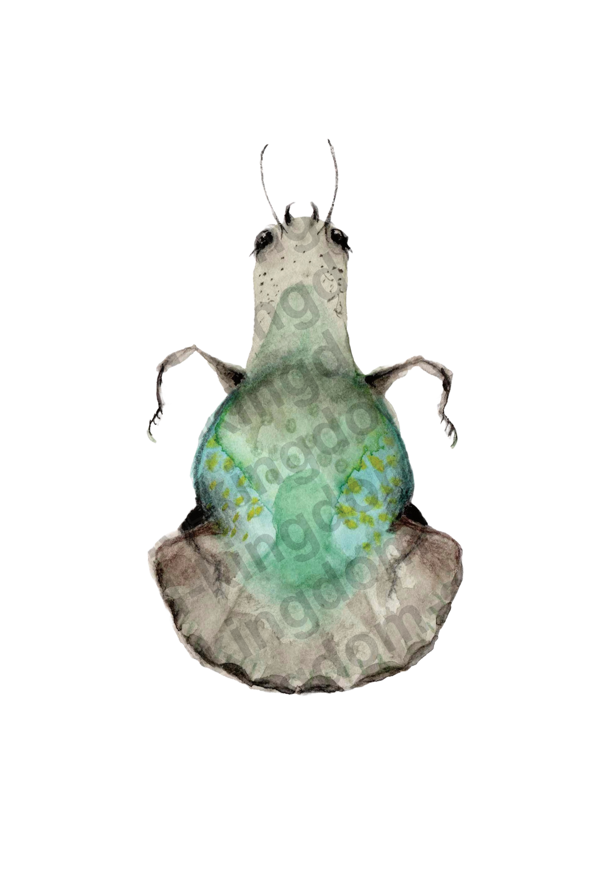bug#0013 - card