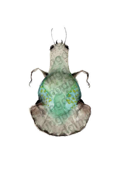 bug#0013 - card