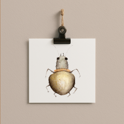 bug#0015 - card