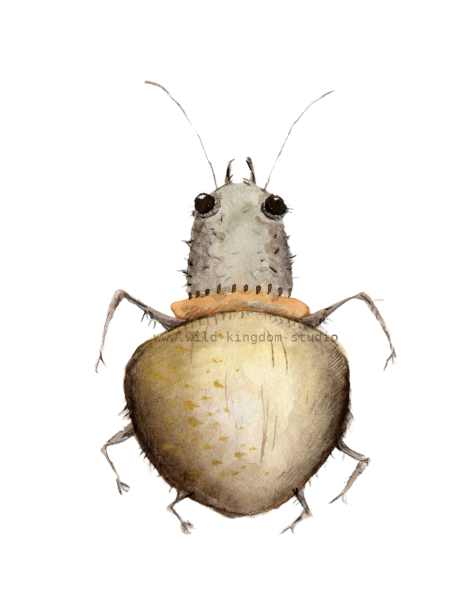bug#0015 - card