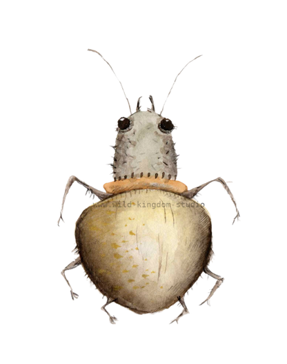bug#0015 - card