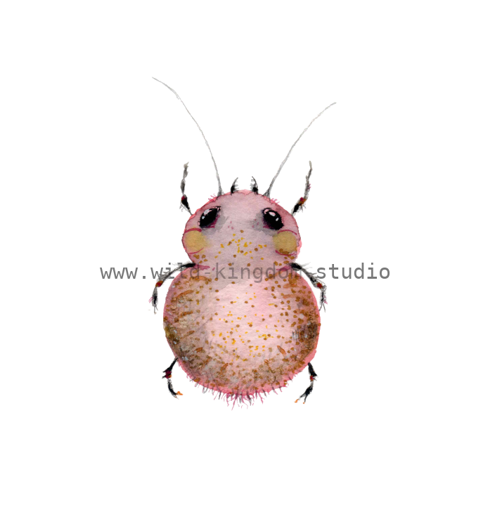bug#0016 - card