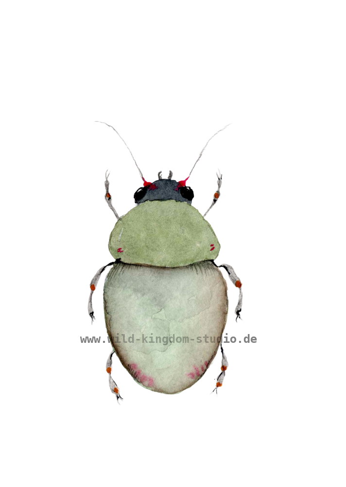 bug#0018 - card