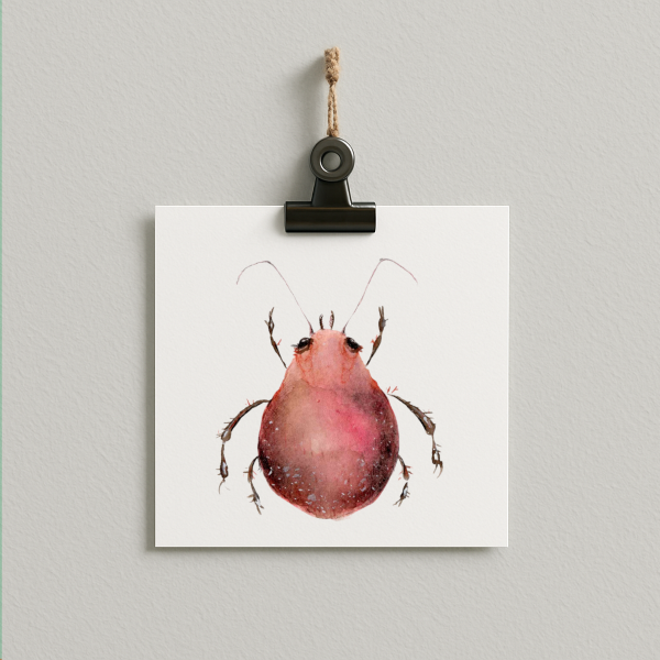 bug#0019 - card