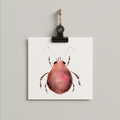bug#0019 - card