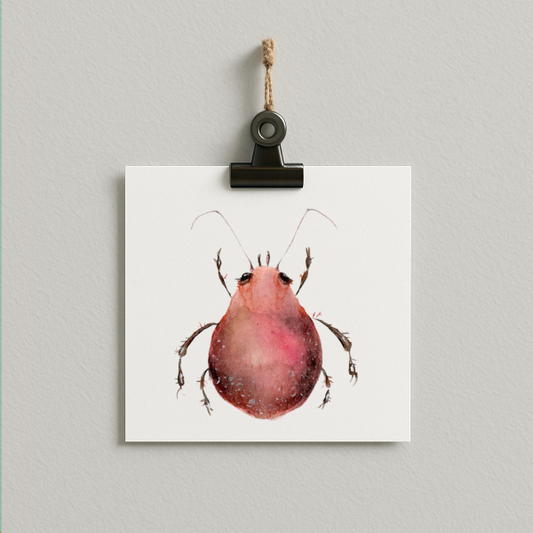 bug#0019 - card