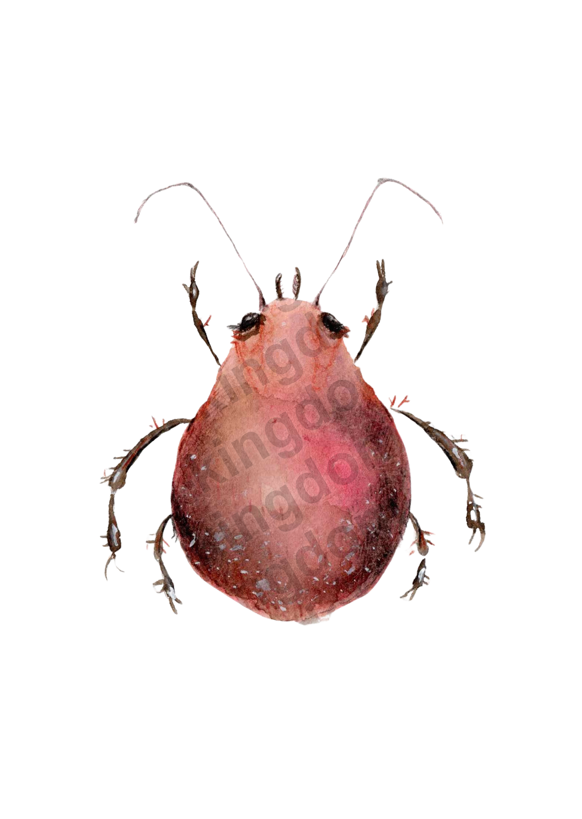 bug#0019 - card