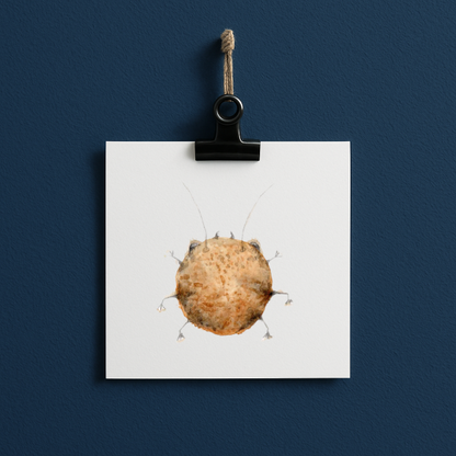 Cookie bug