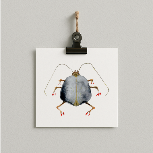 bug#0026 - card