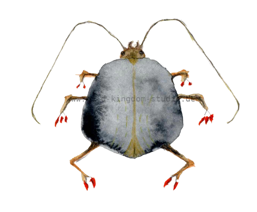 bug#0026 - card