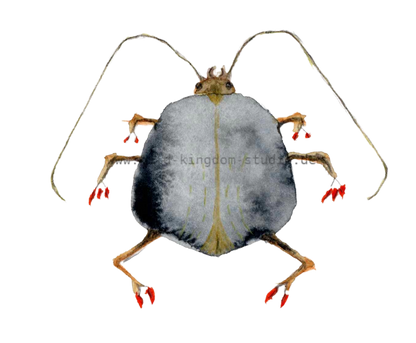 bug#0026 - card