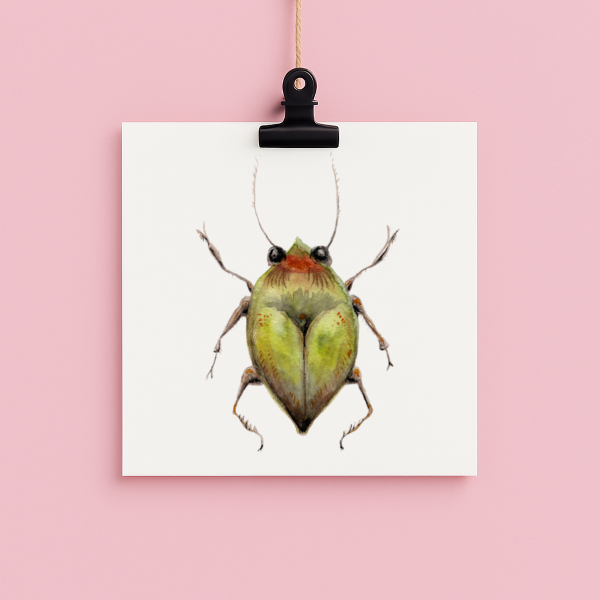 bug#0027 - card
