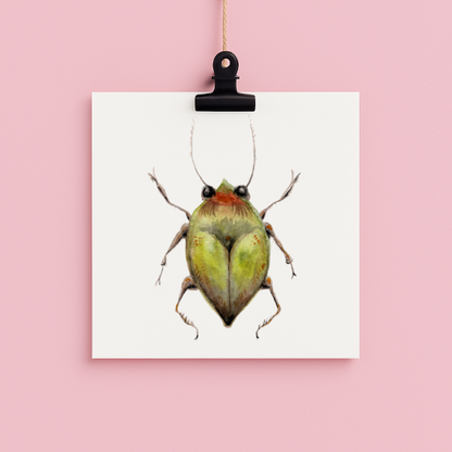 bug#0027 - card