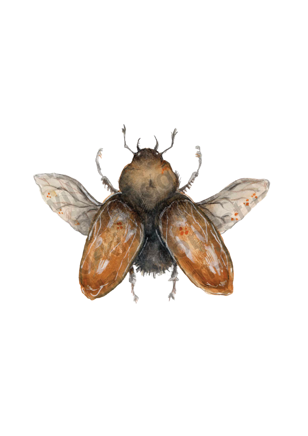 bug#0029 - card