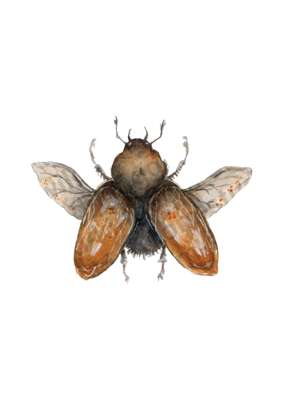bug#0029 - card