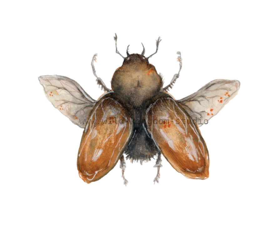 bug#0029 - card