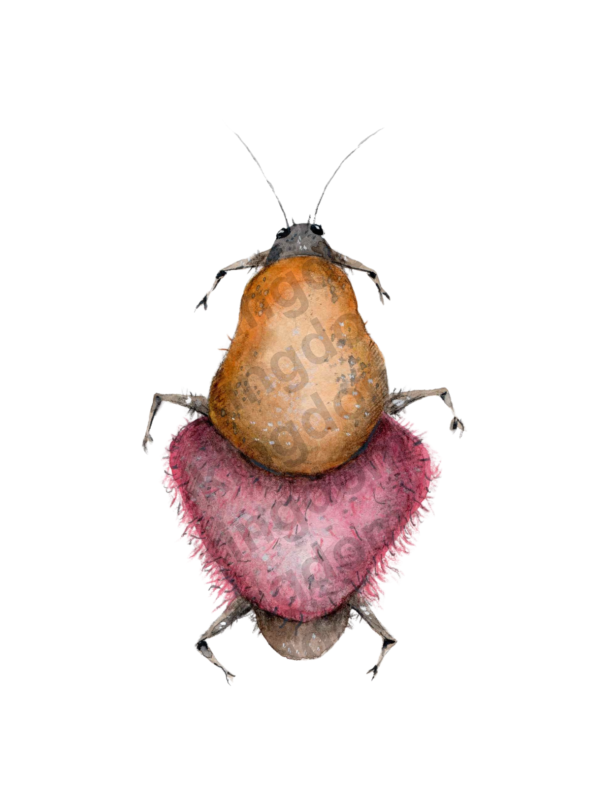 bug#0030- card