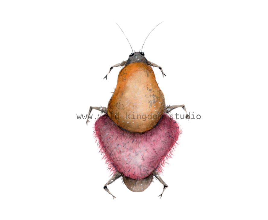 bug#0030- card