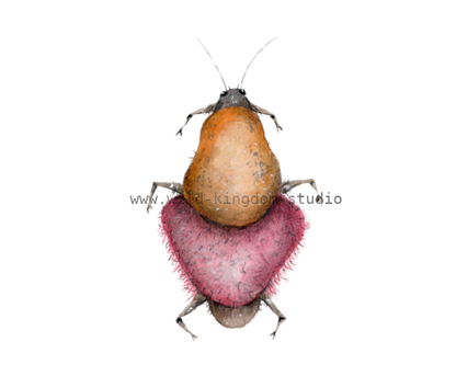 bug#0030- card