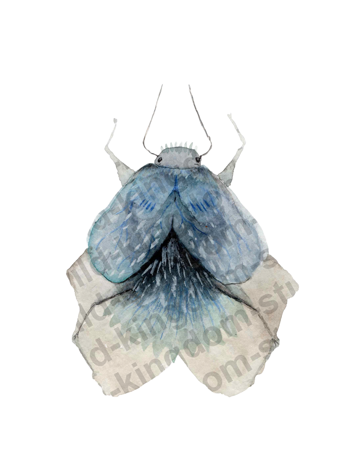 bug#0031 - card