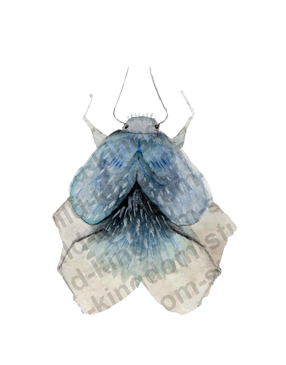 bug#0031 - card