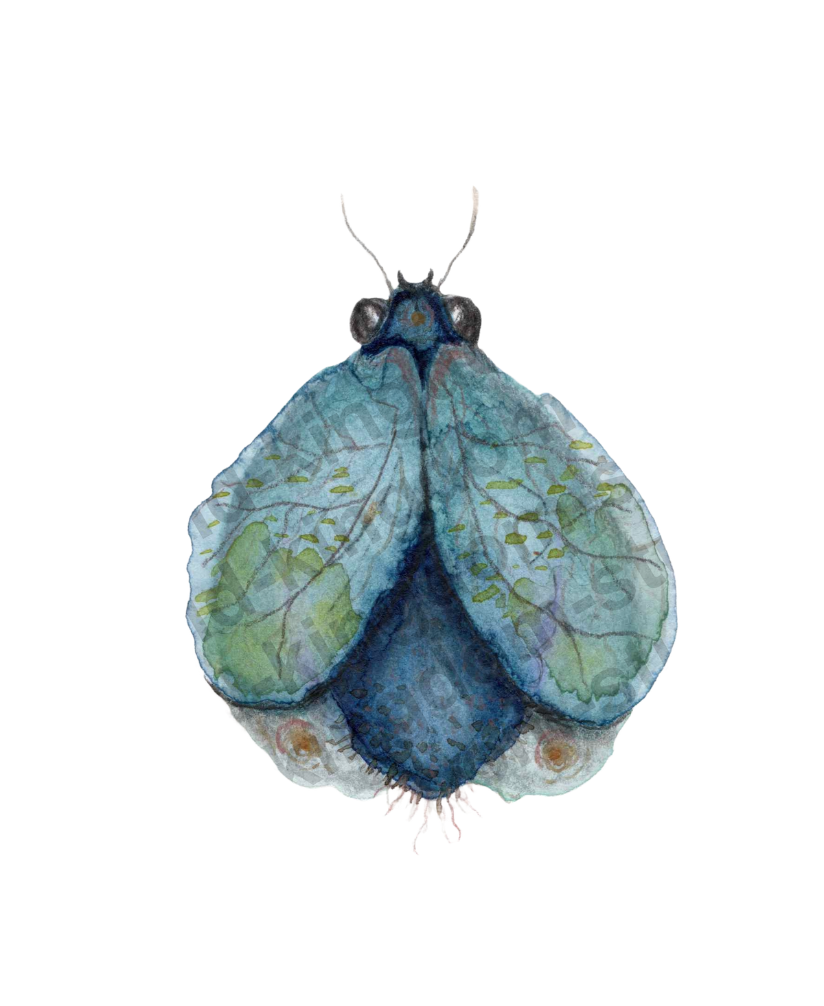 bug#0032 - card