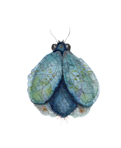 bug#0032 - card