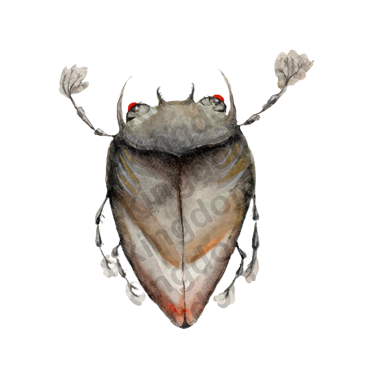 bug#0033 - card
