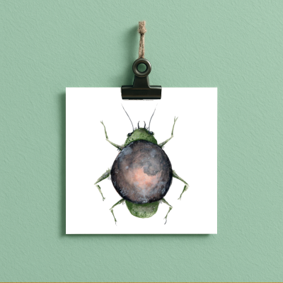 Moon Bug