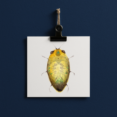 bug#0035 - card
