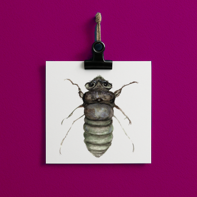 bug#0036 - card
